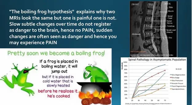 Boiling Frog Hypothesis