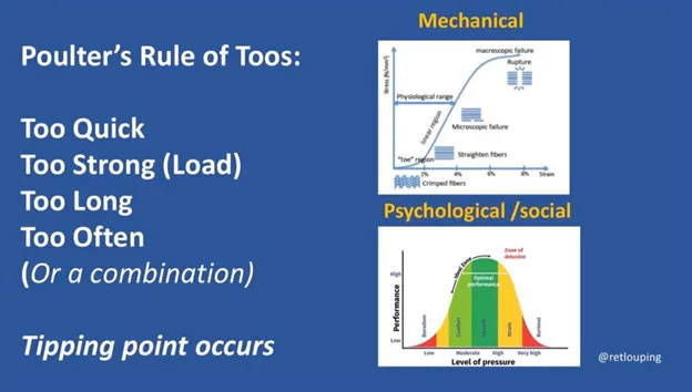  Rule of TOOs