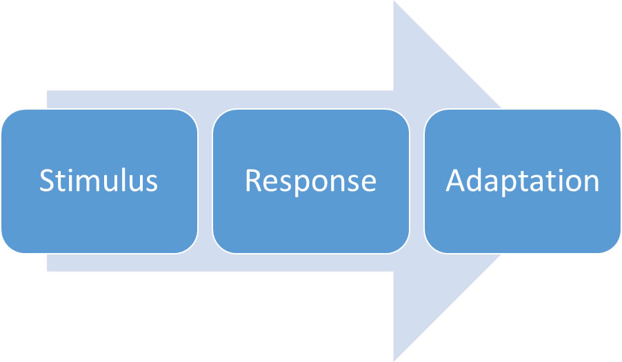 Manual Therapy Response